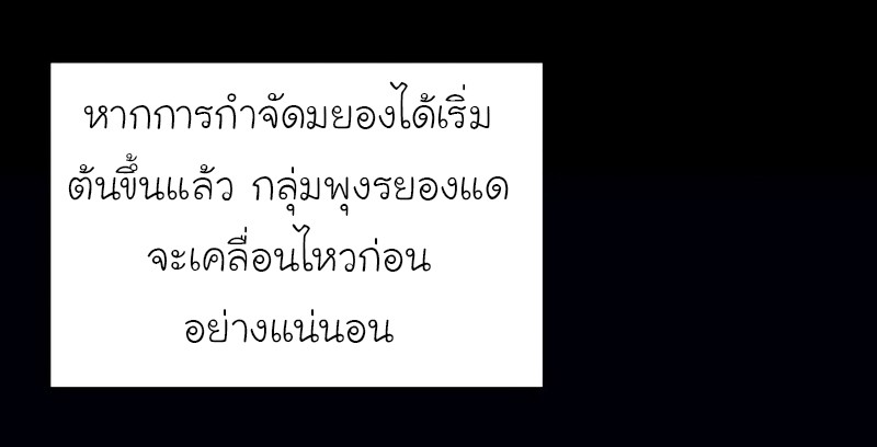 หน้า 91