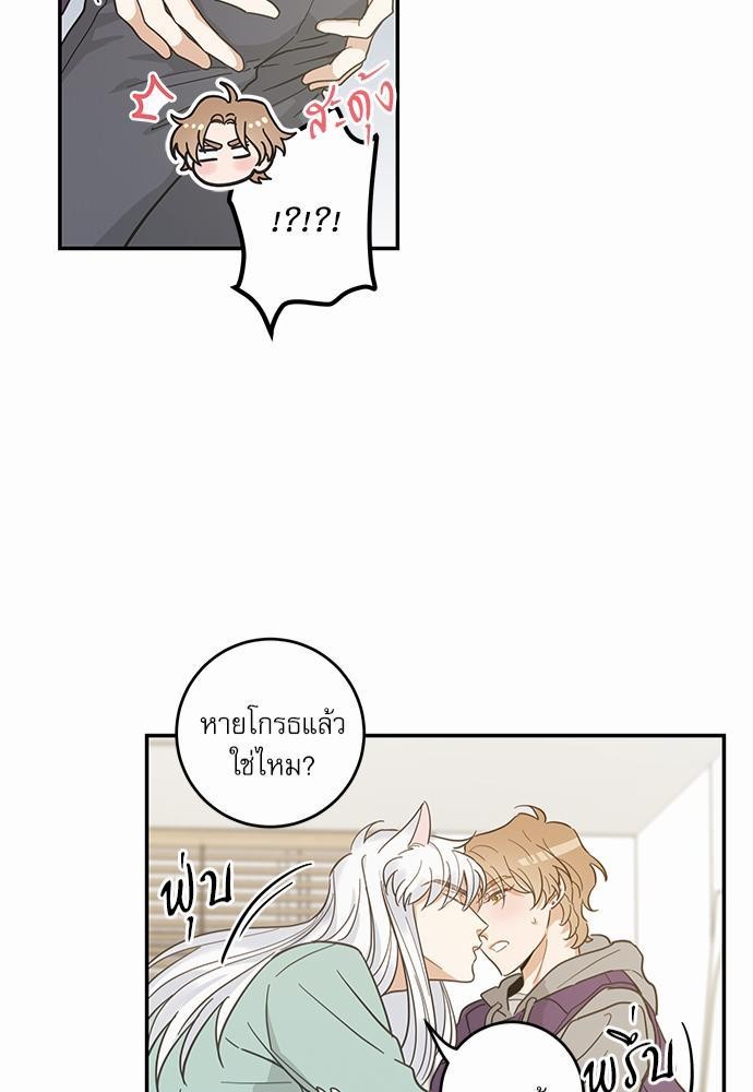 หน้า 41