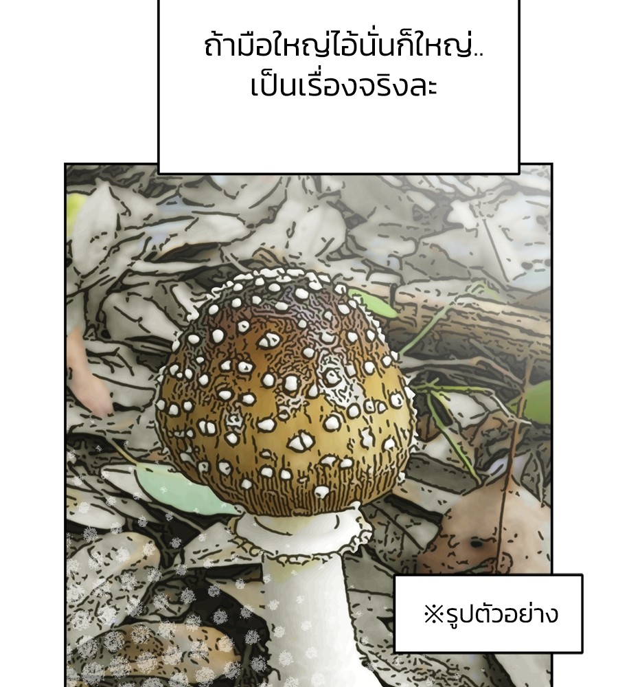หน้า 231