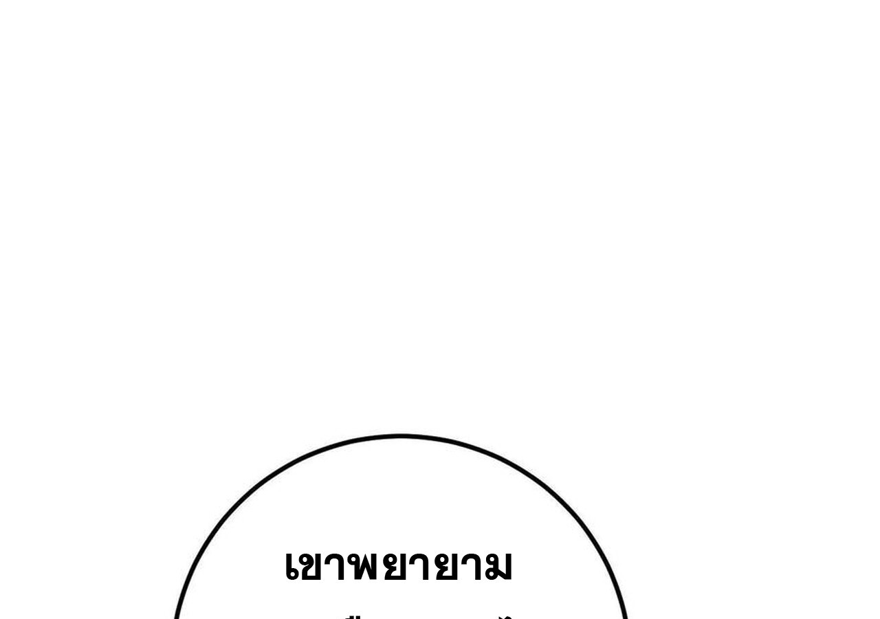 หน้า 243