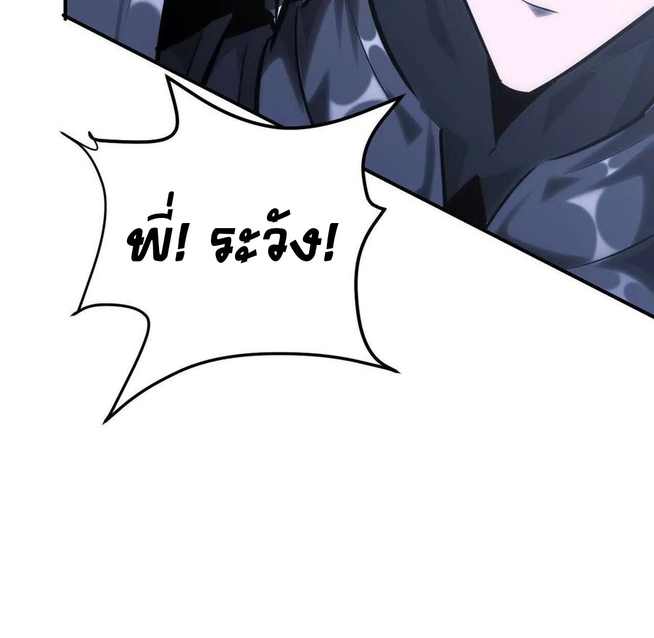 หน้า 102