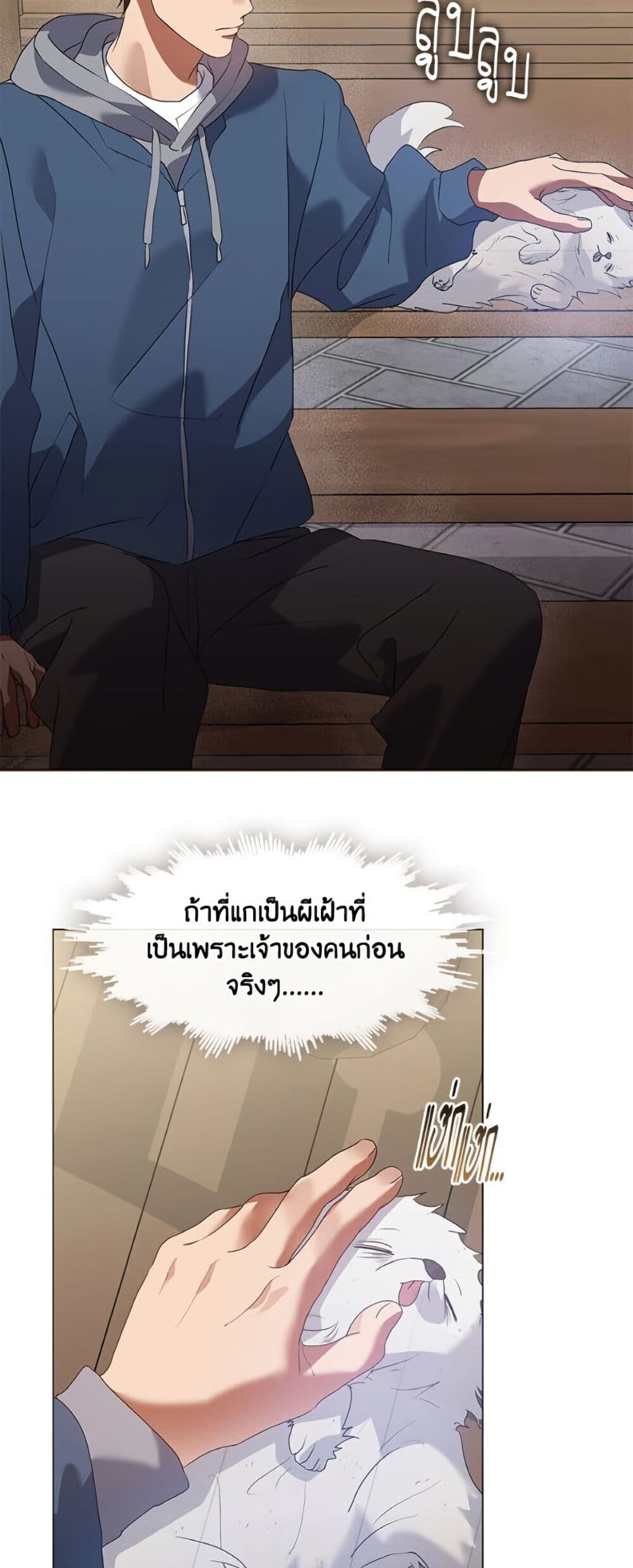 หน้า 43