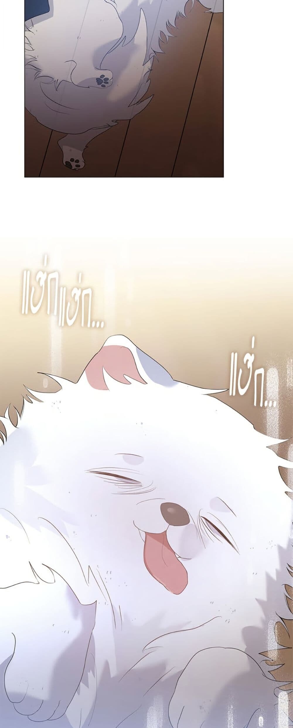 หน้า 44