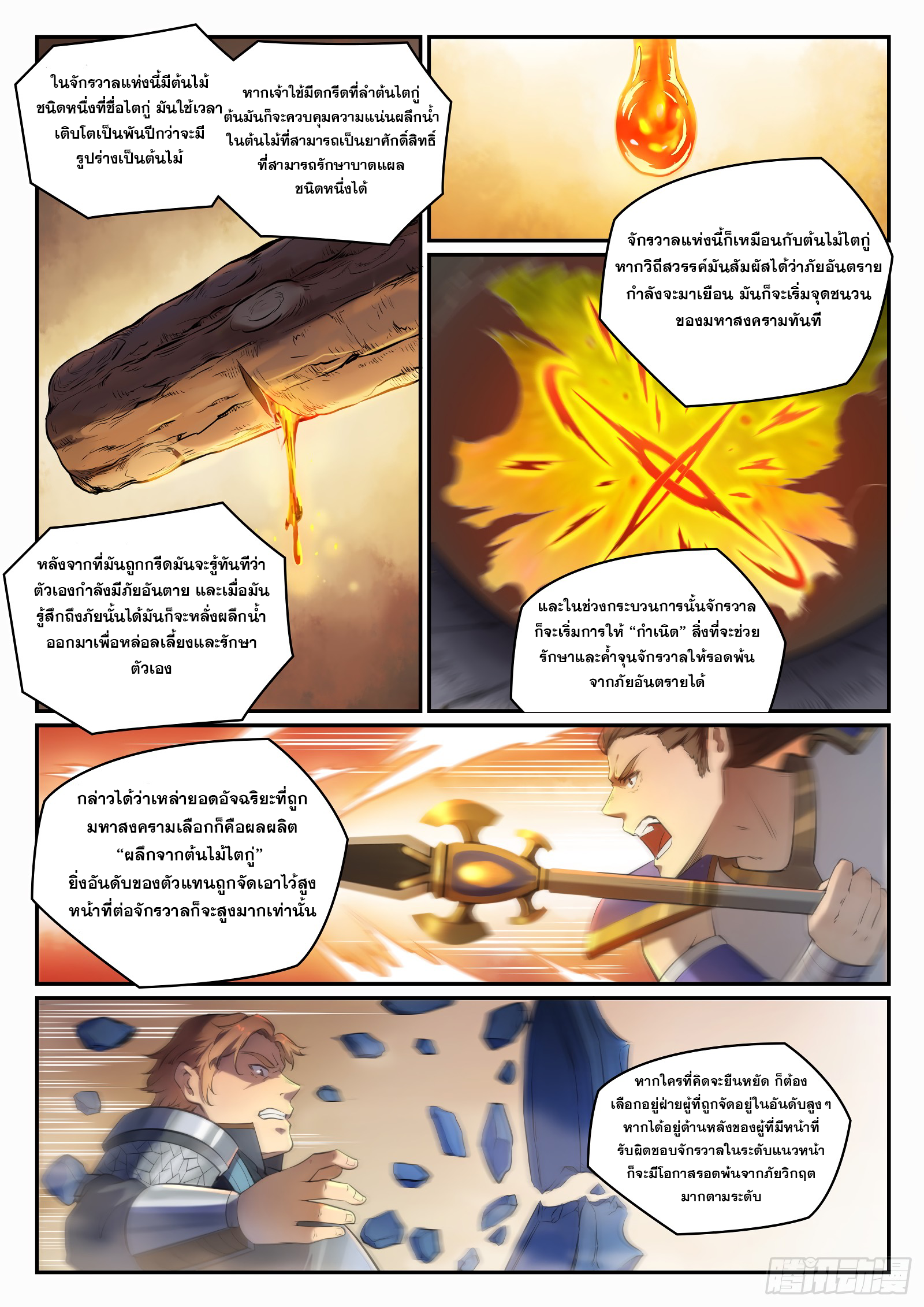 หน้า 11