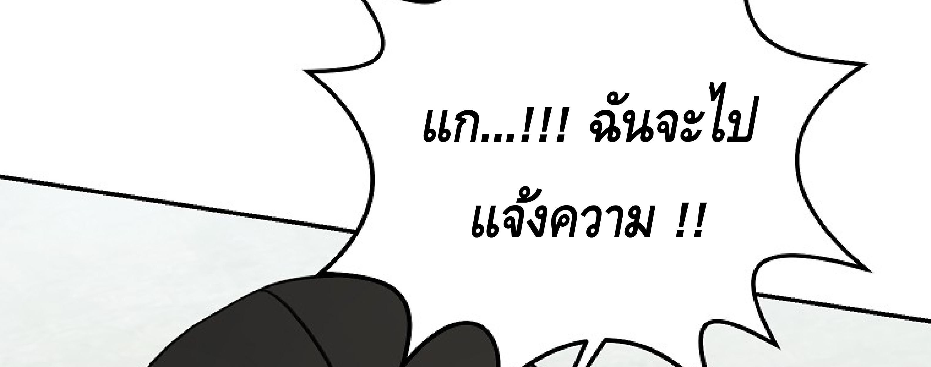 หน้า 247