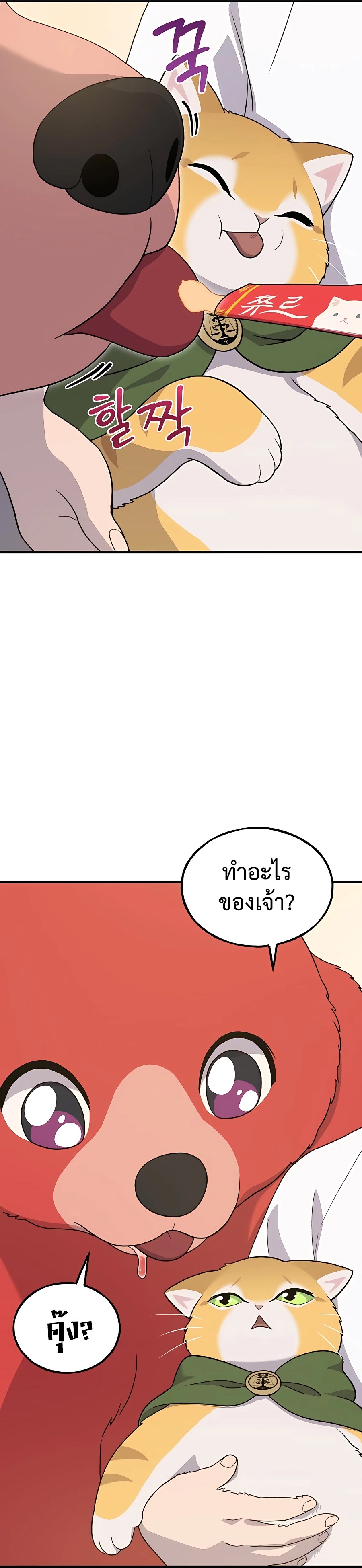 หน้า 43