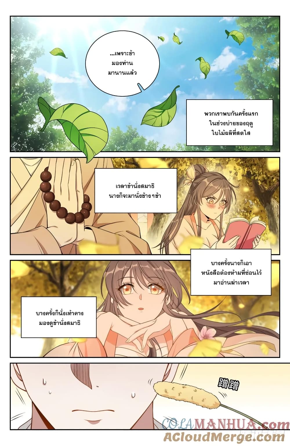 หน้า 17