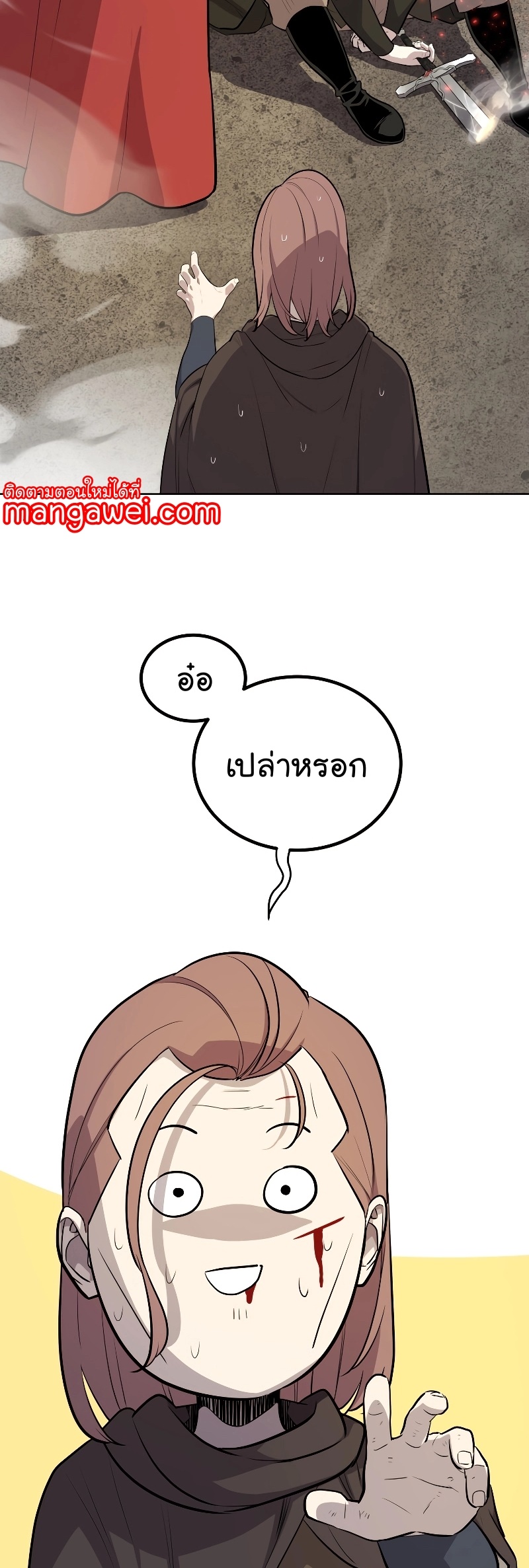 หน้า 29