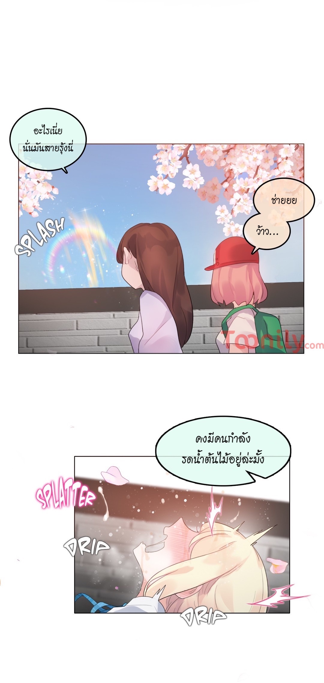 หน้า 29