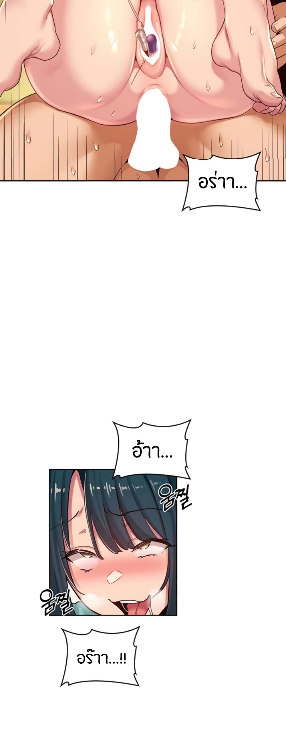 หน้า 29
