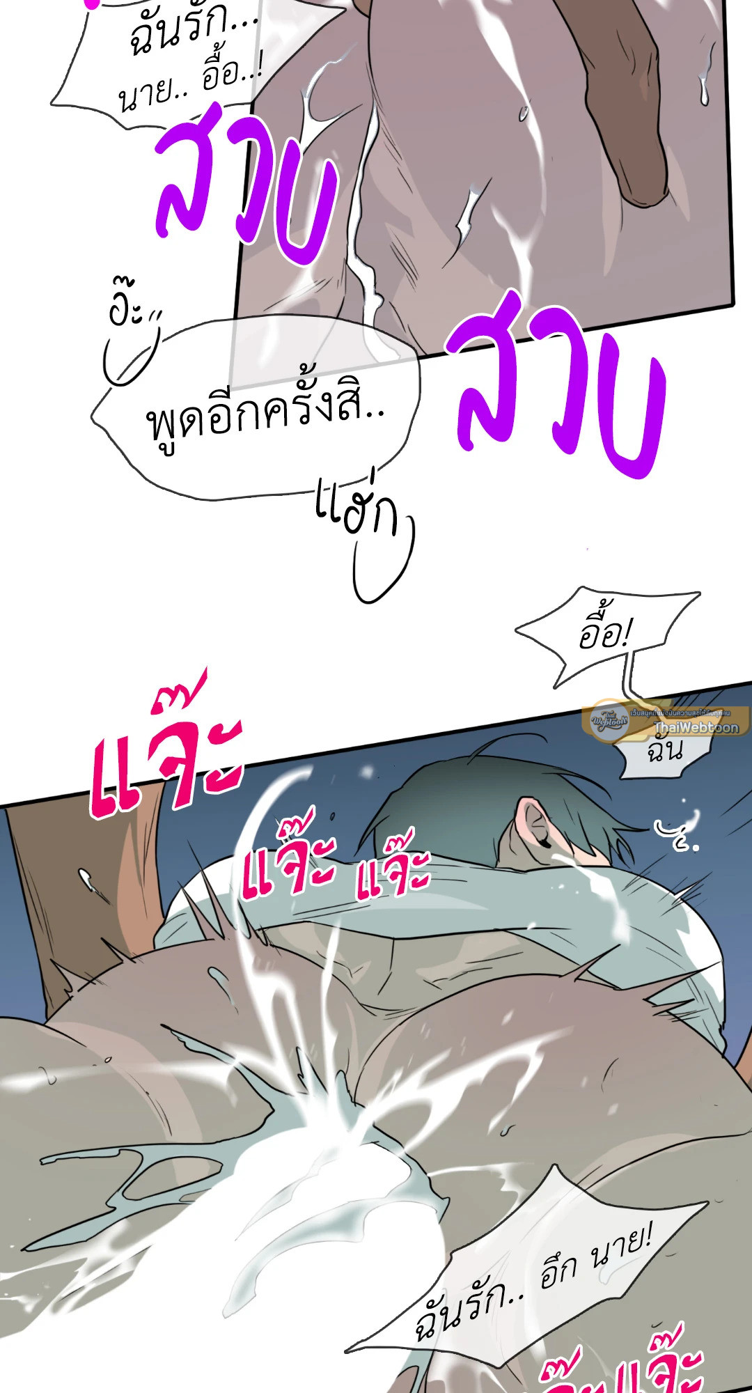 หน้า 31