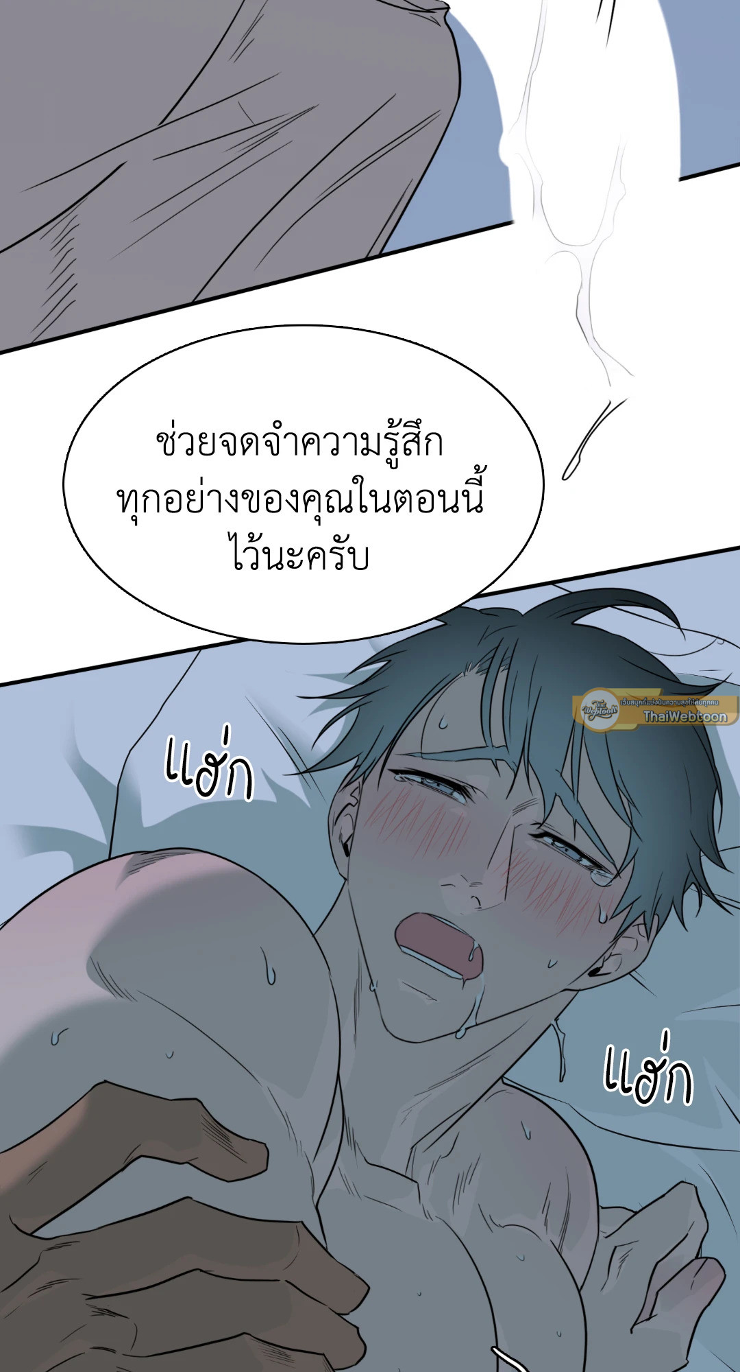 หน้า 37