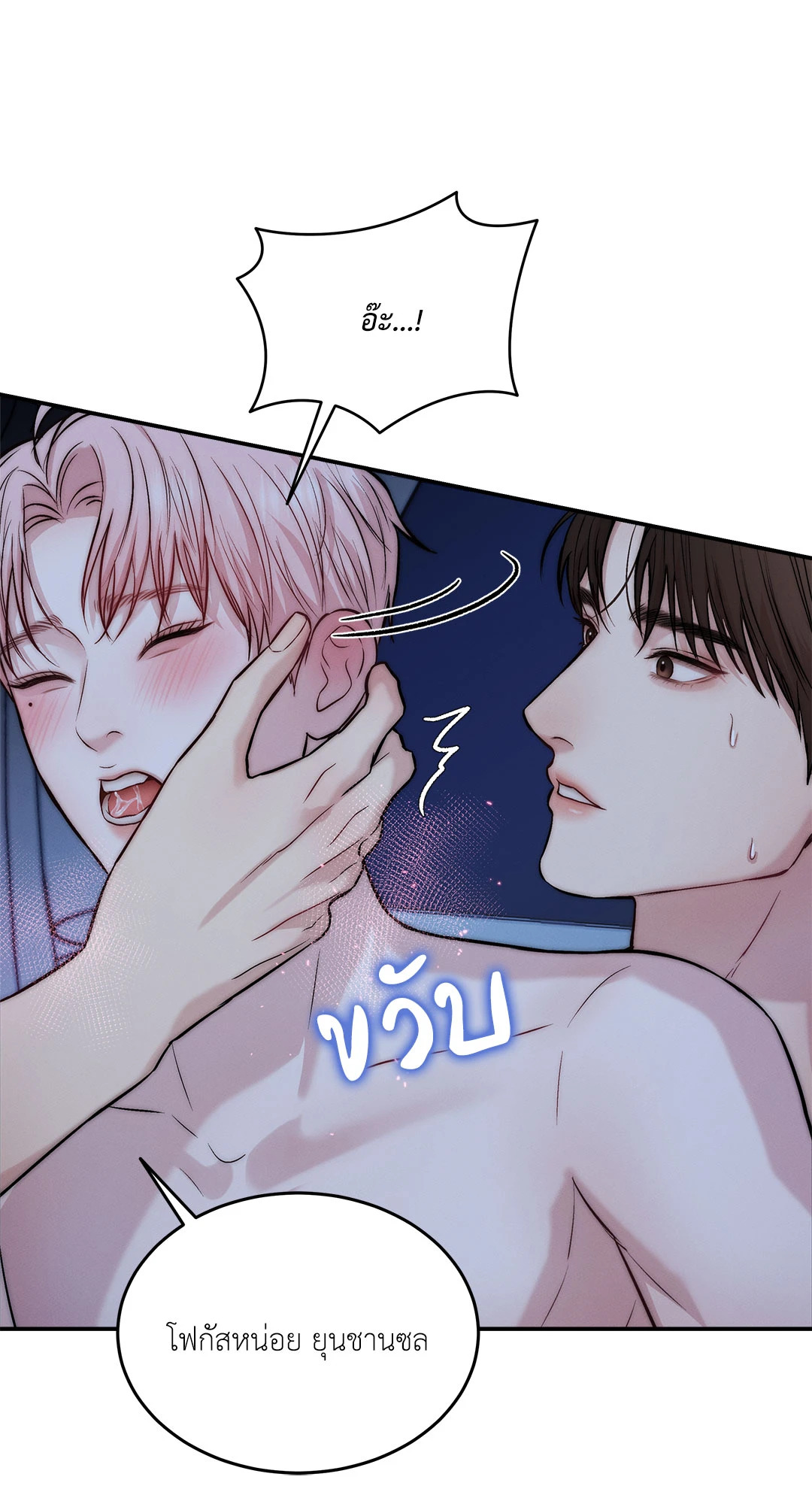 หน้า 43