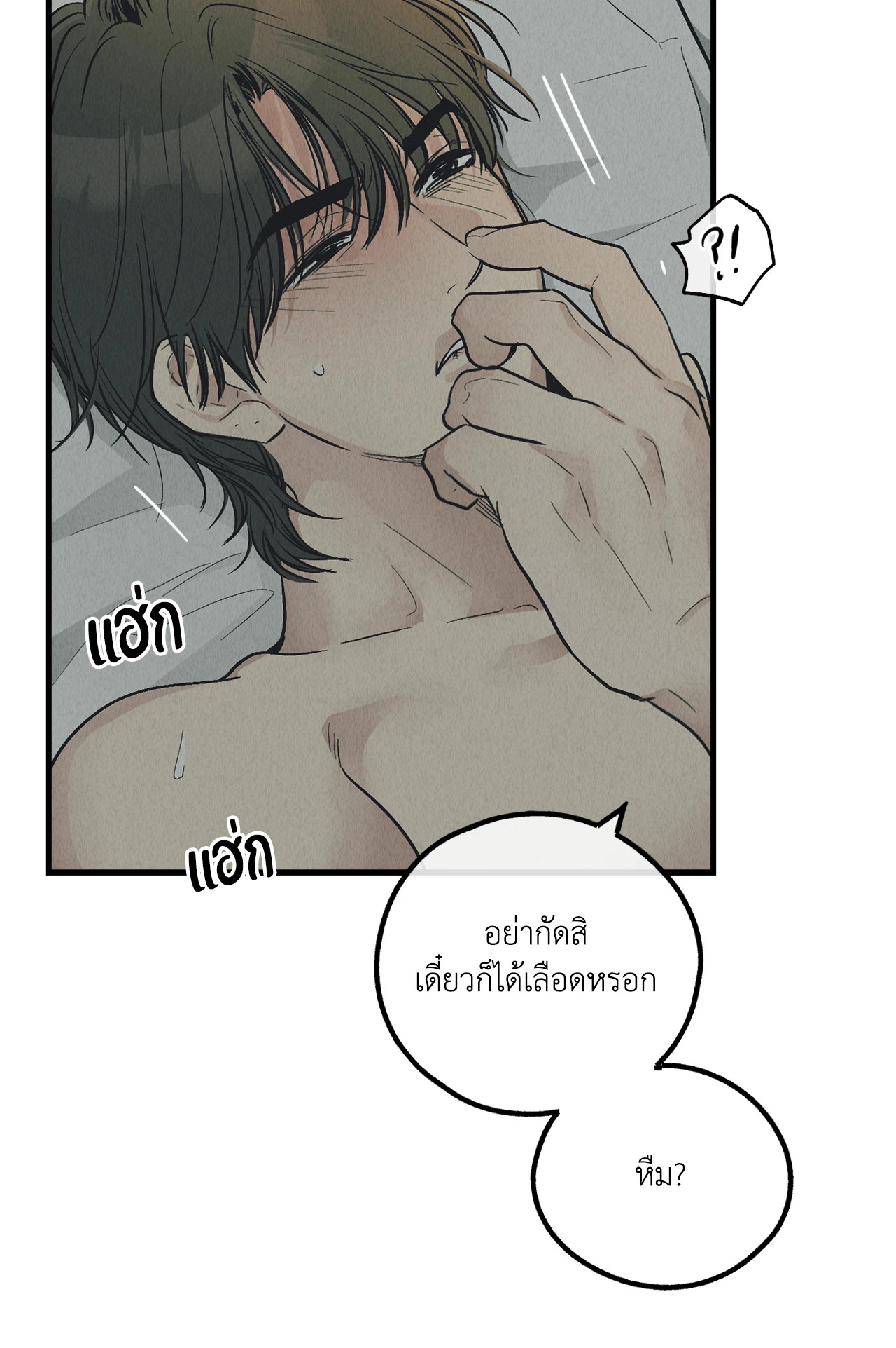 หน้า 52