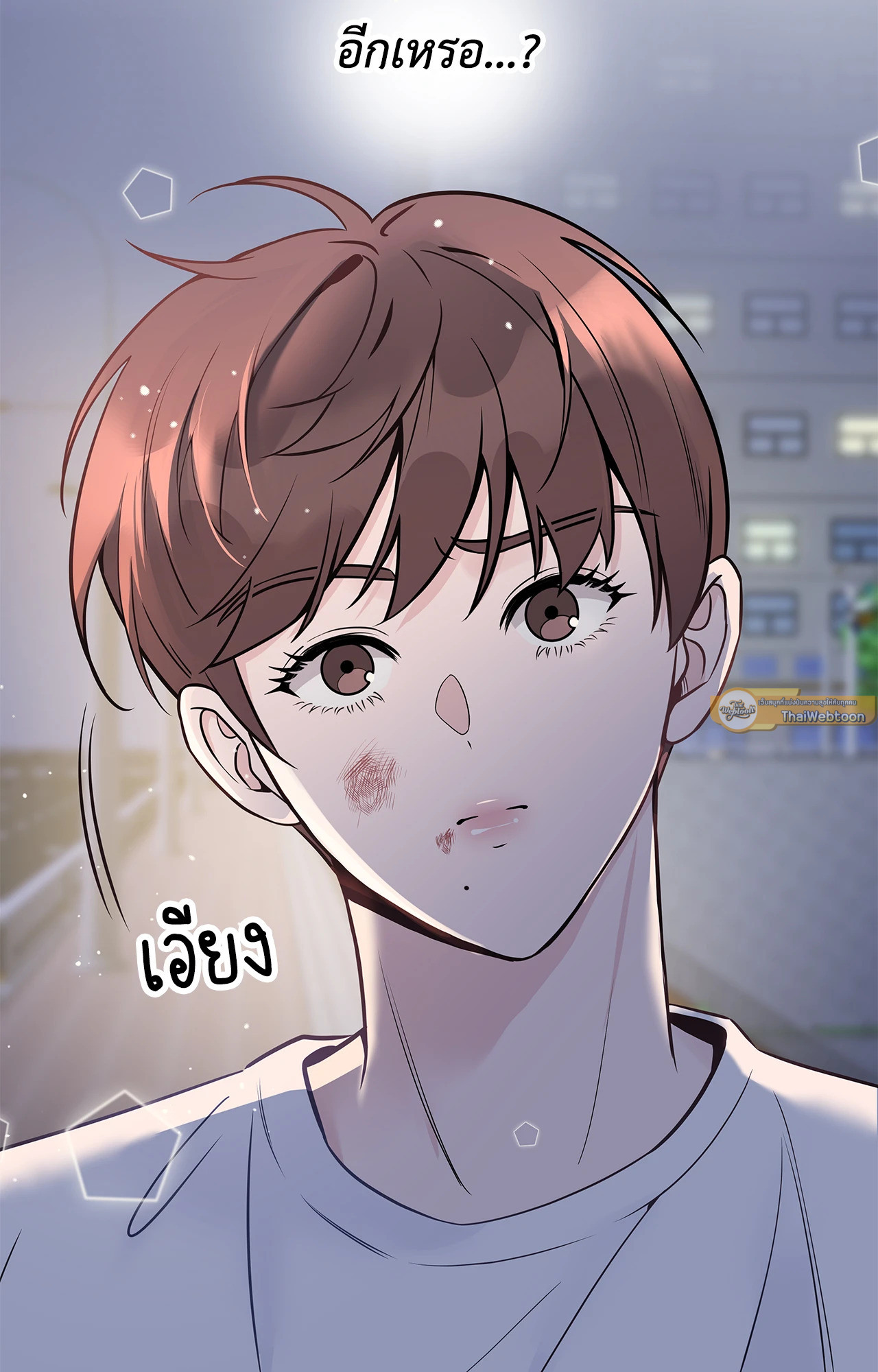 หน้า 29