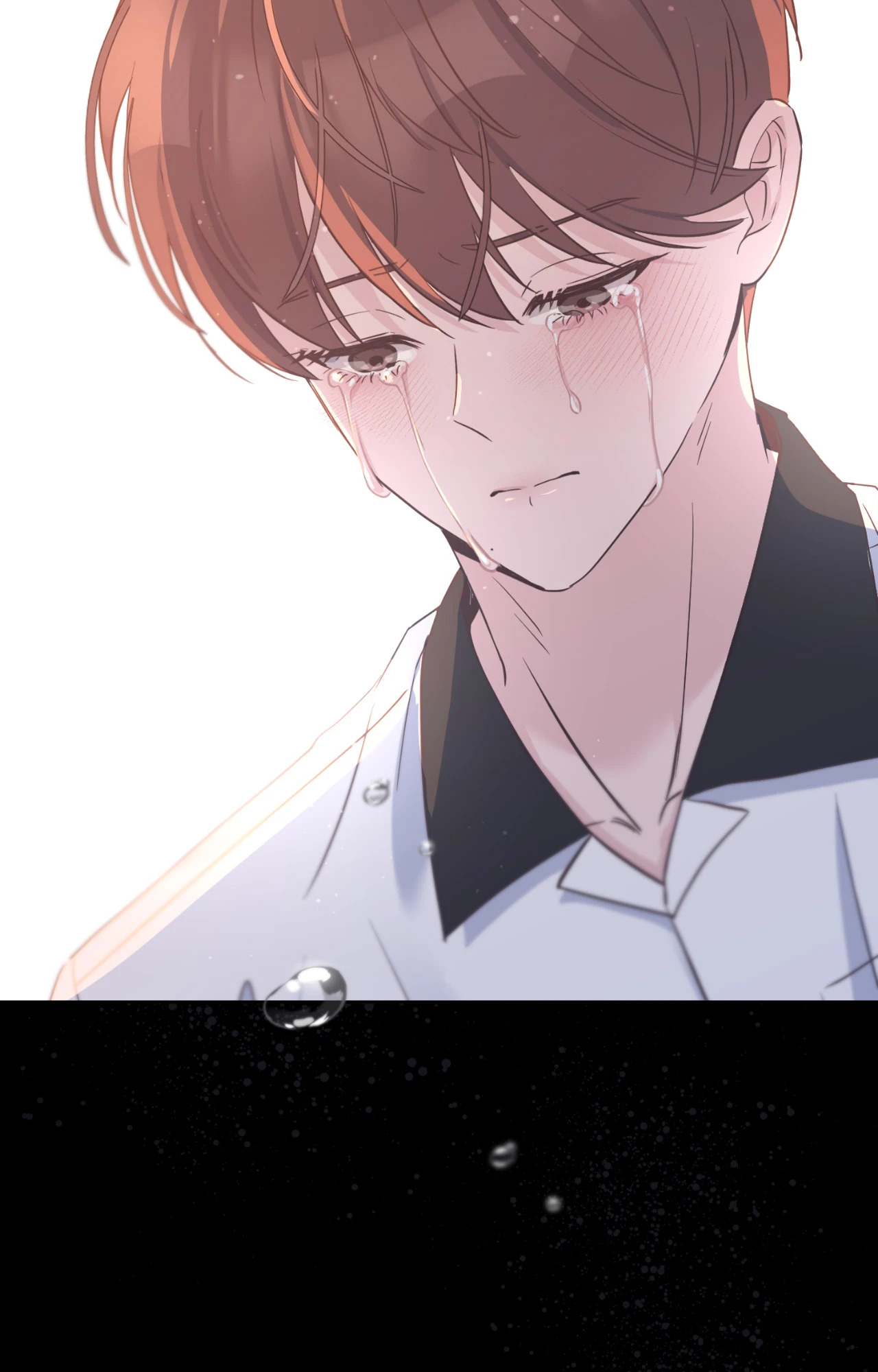 หน้า 102