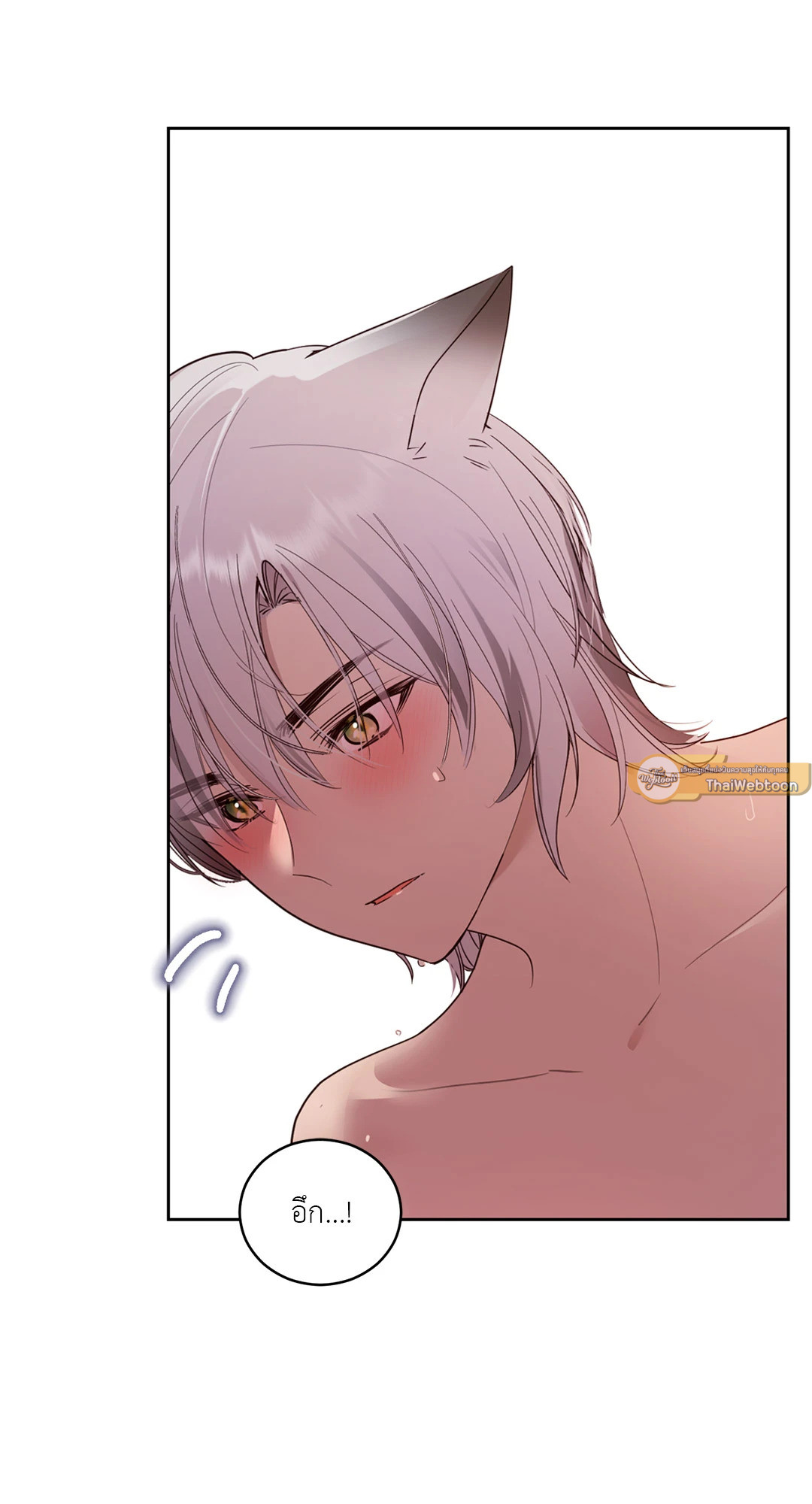 หน้า 61