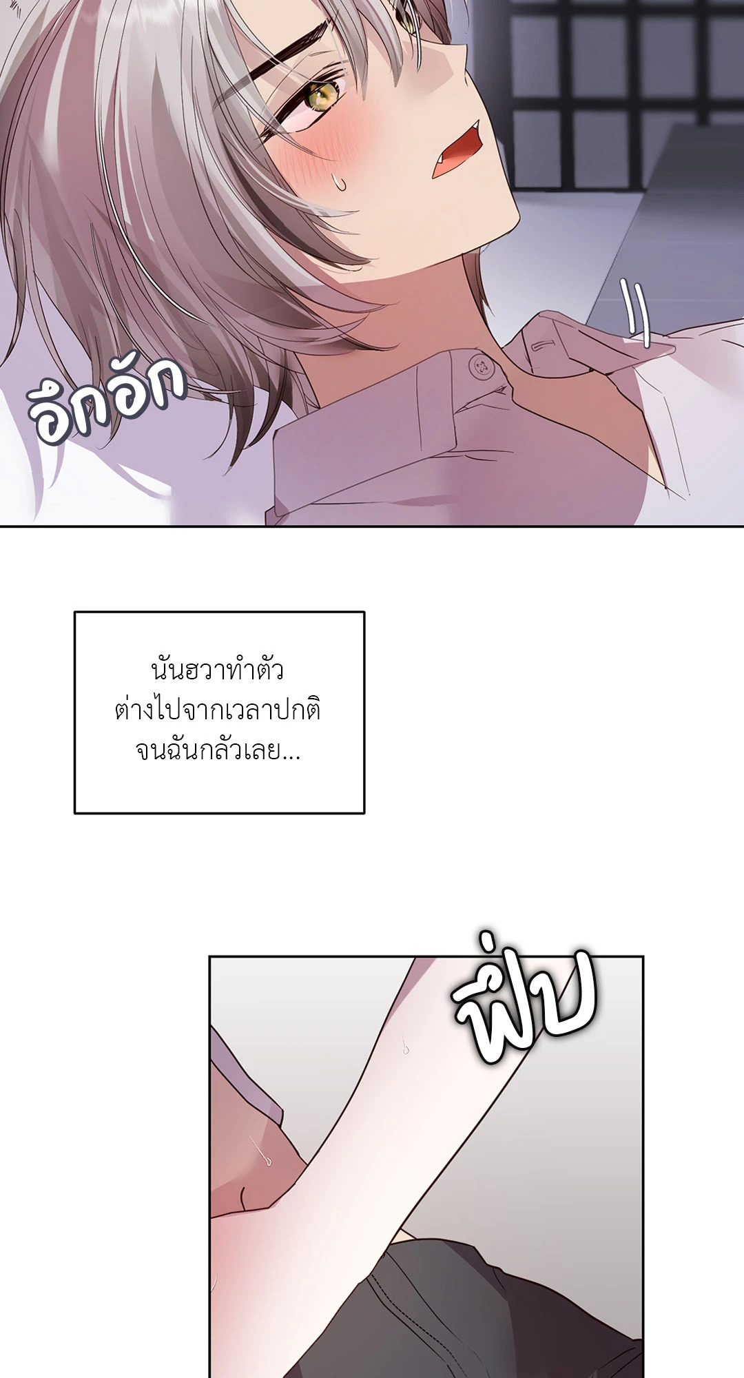 หน้า 43
