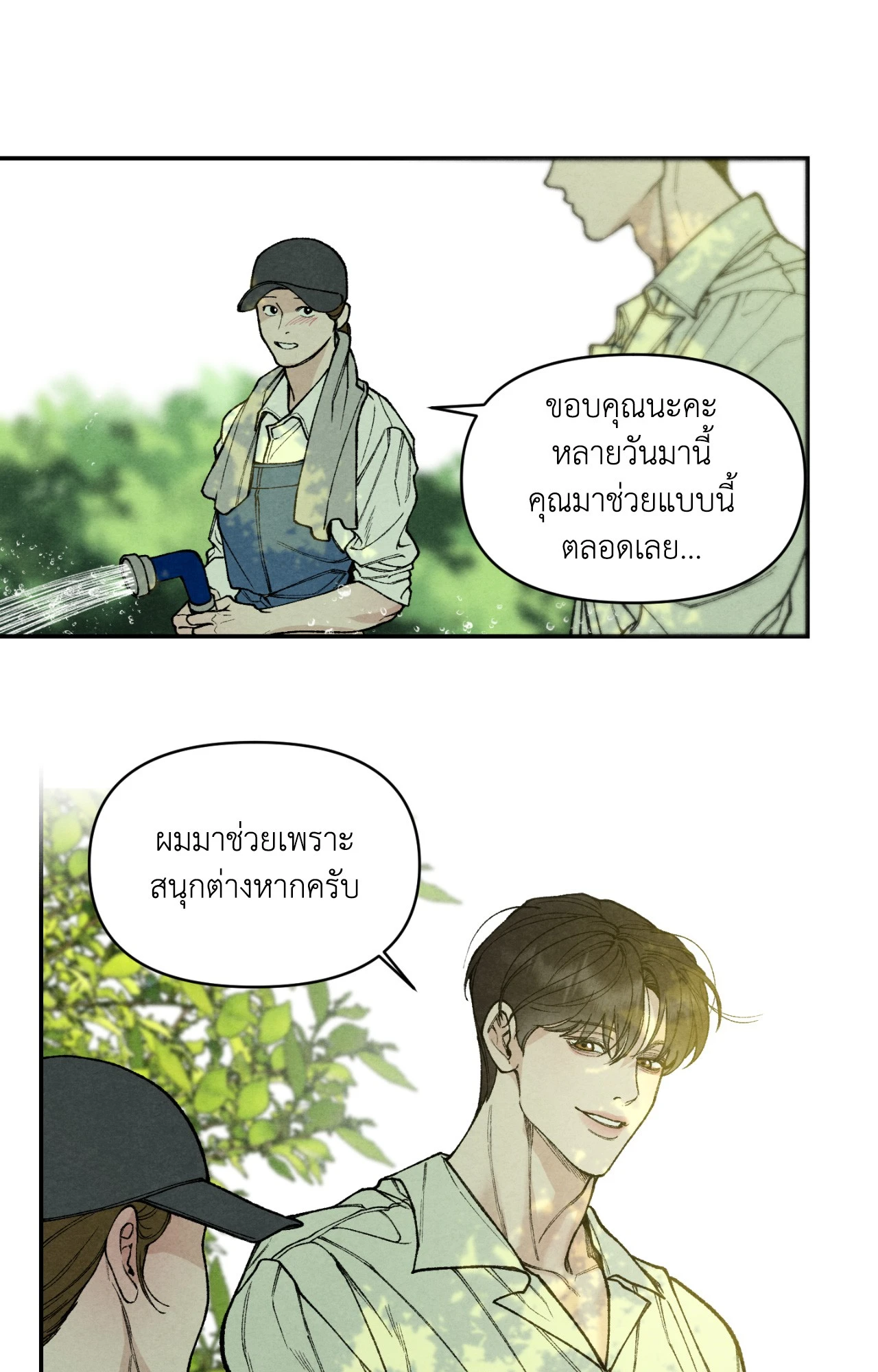 หน้า 43