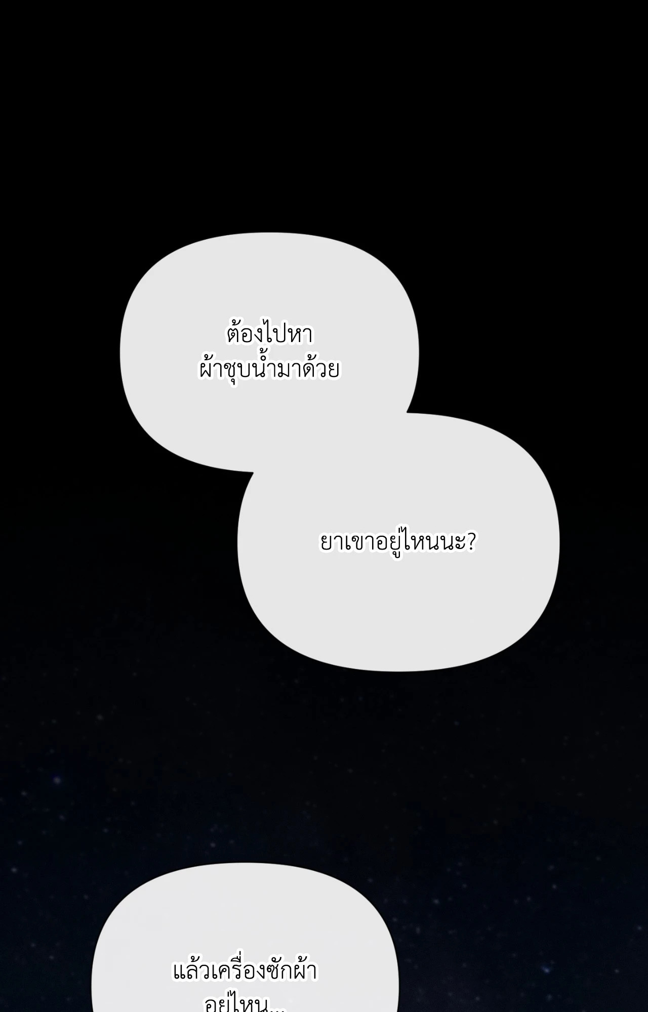หน้า 102