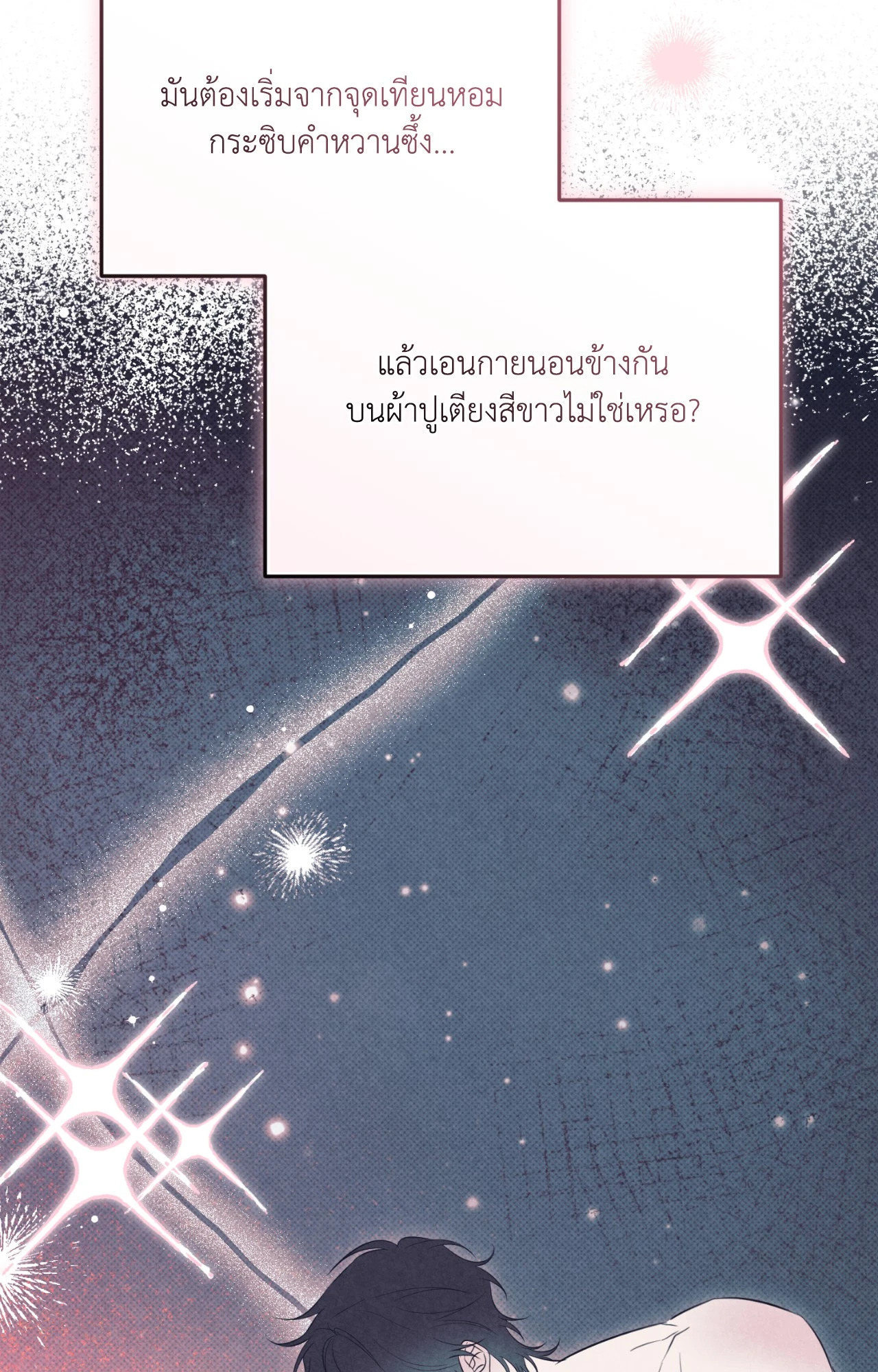 หน้า 102