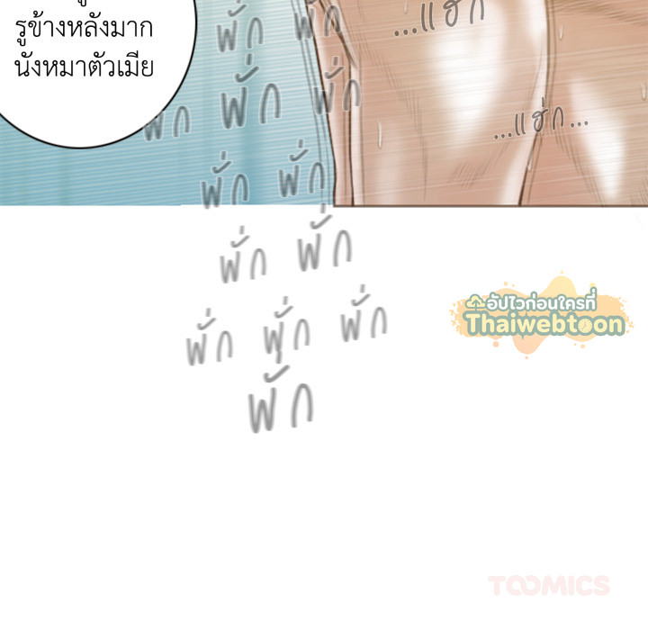 หน้า 117