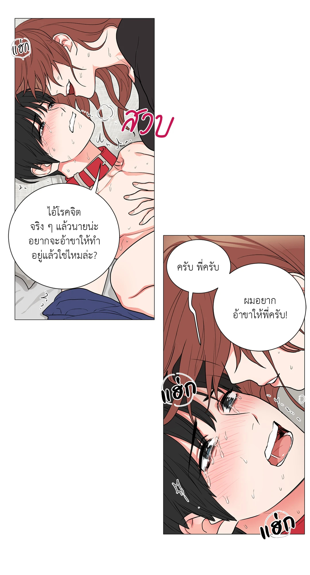 หน้า 17