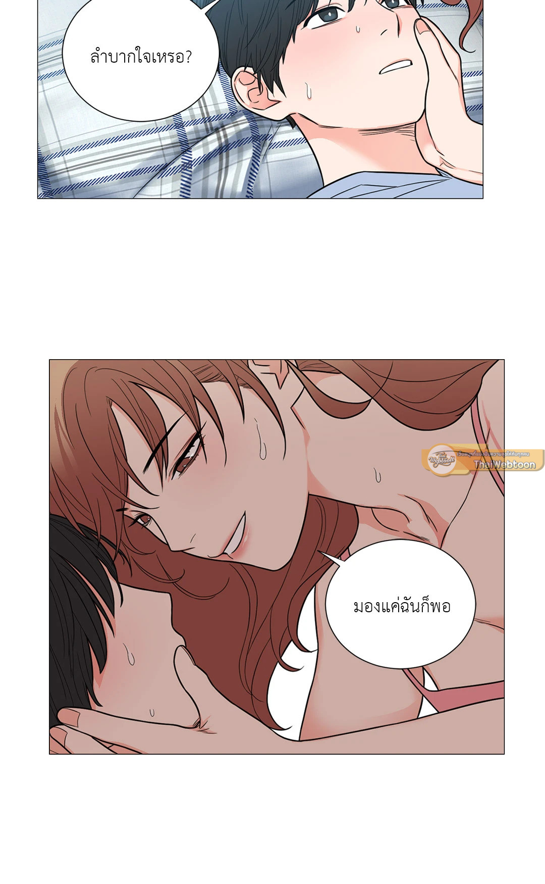 หน้า 42