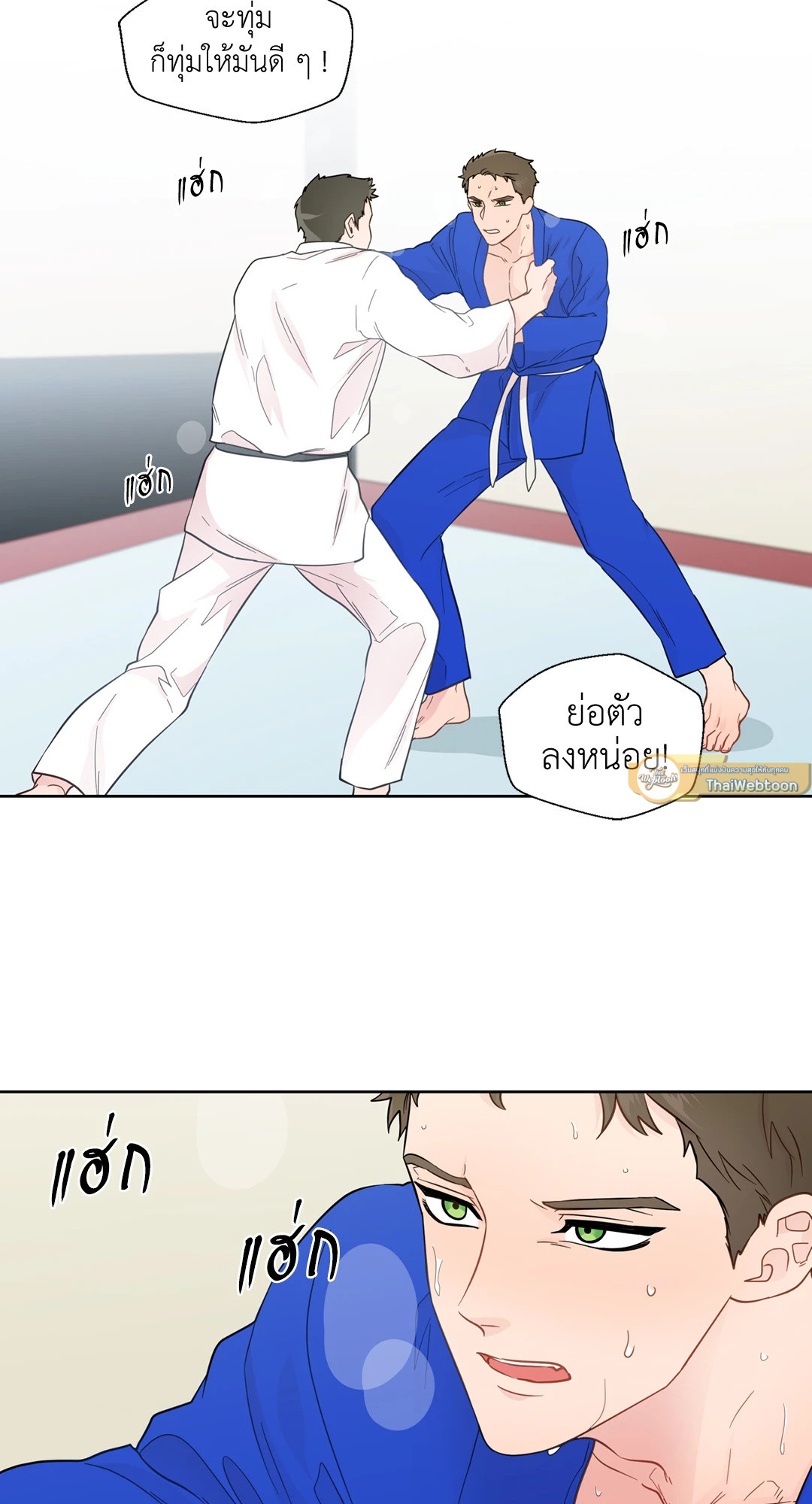 หน้า 17