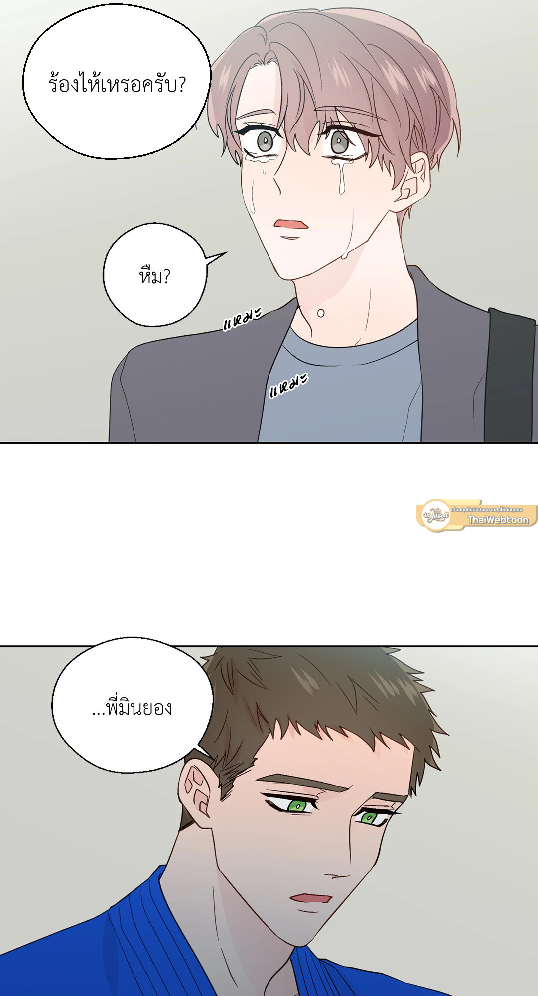 หน้า 29