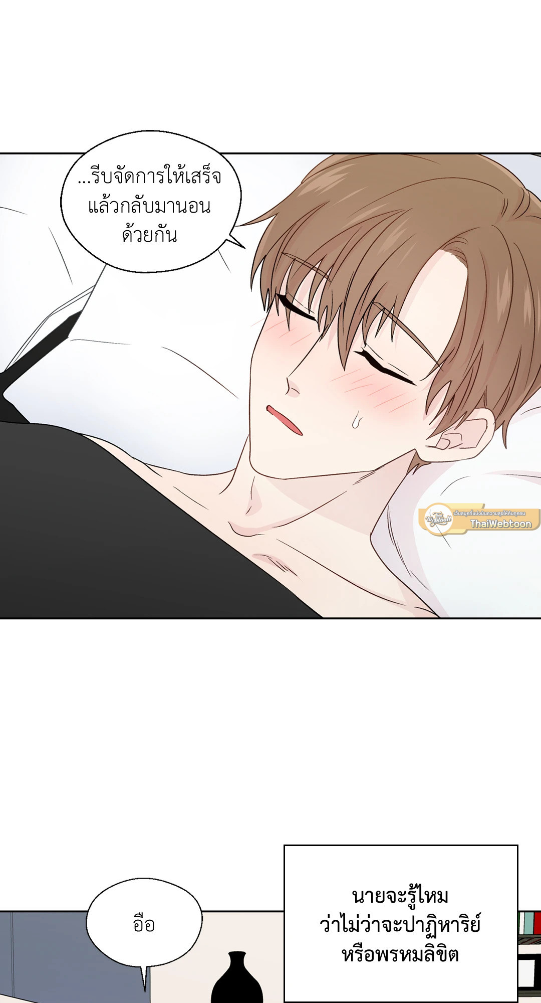 หน้า 43