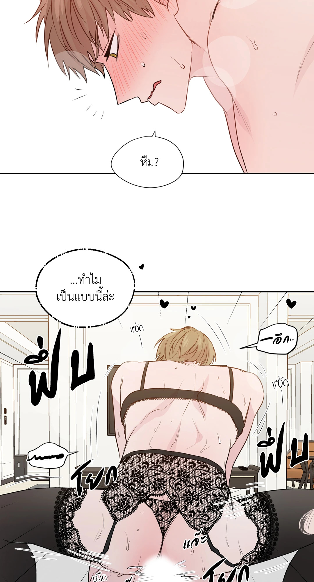 หน้า 41