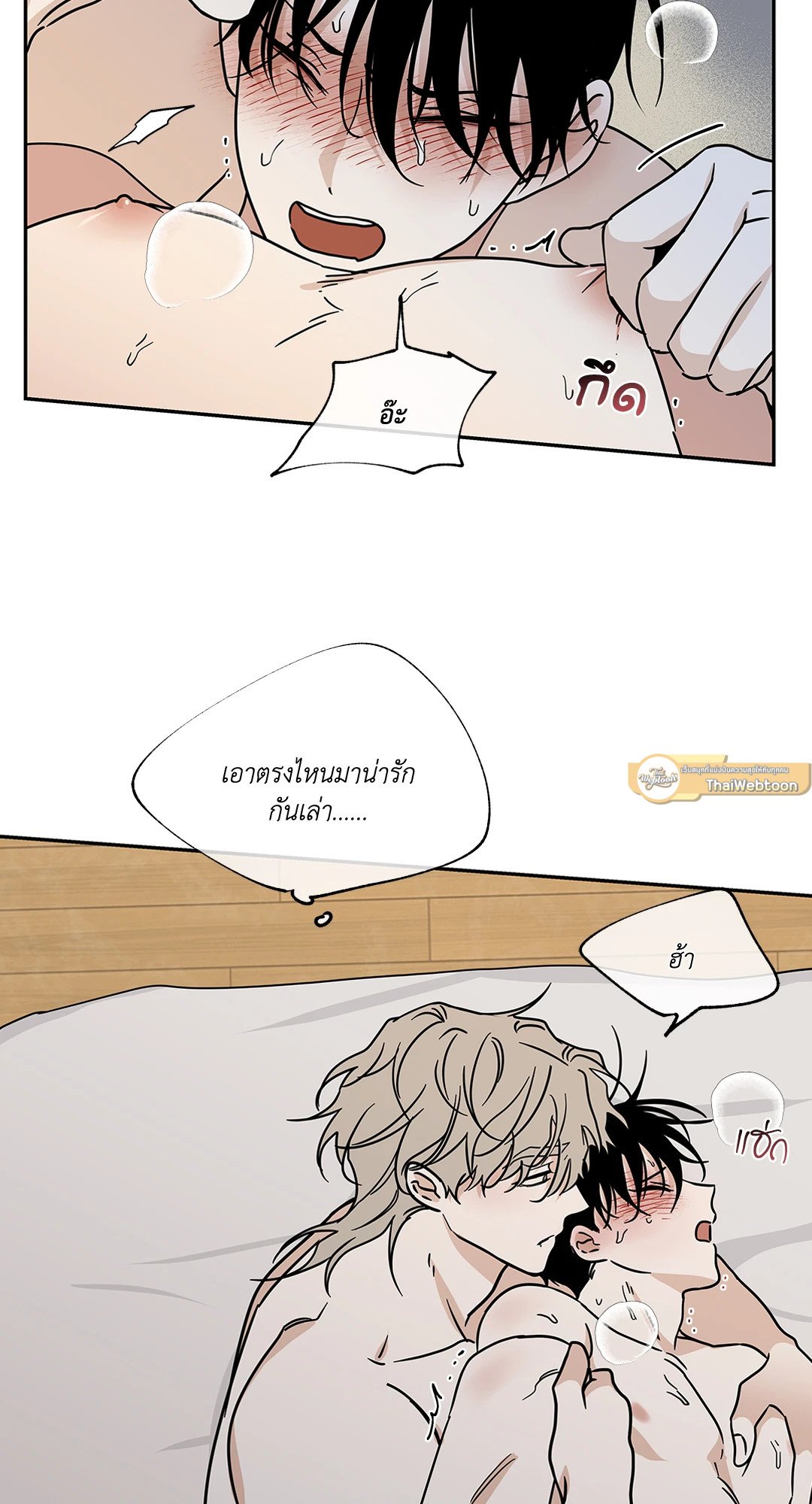 หน้า 43