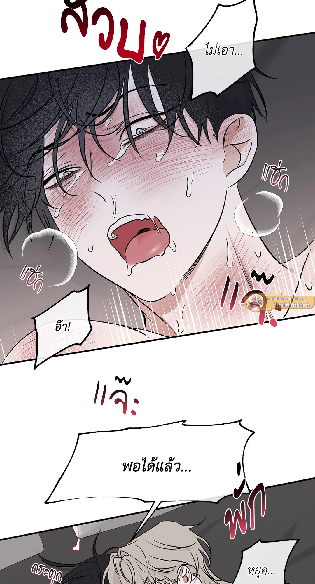 หน้า 40