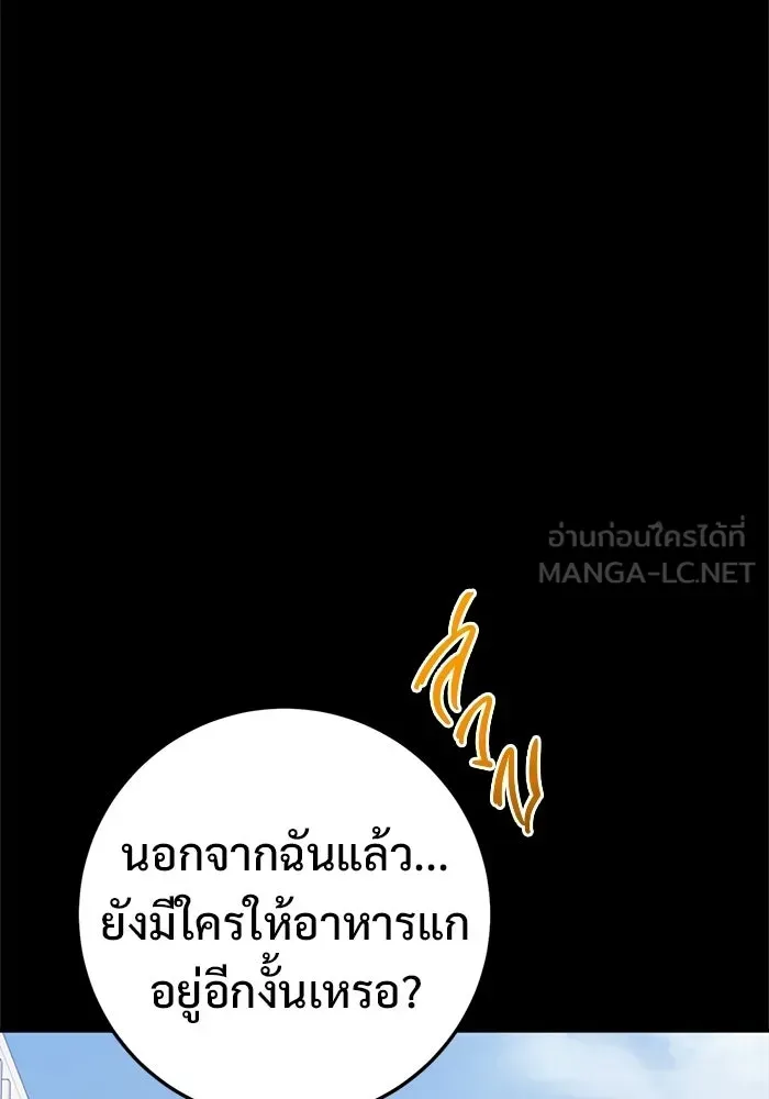 หน้า 213