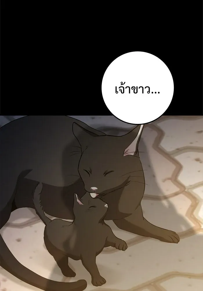 หน้า 236