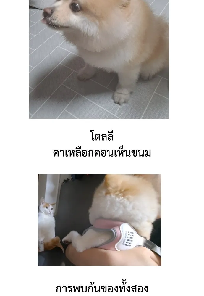 หน้า 53
