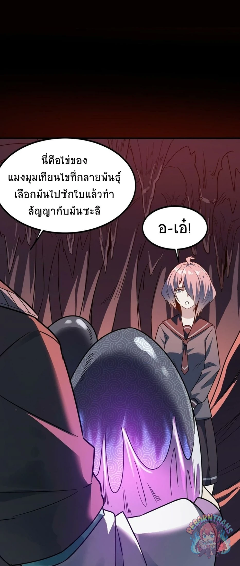 หน้า 43