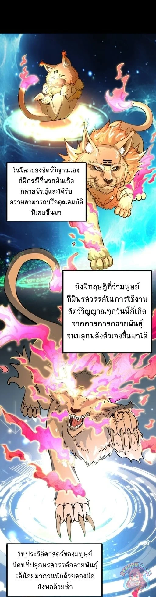 หน้า 43
