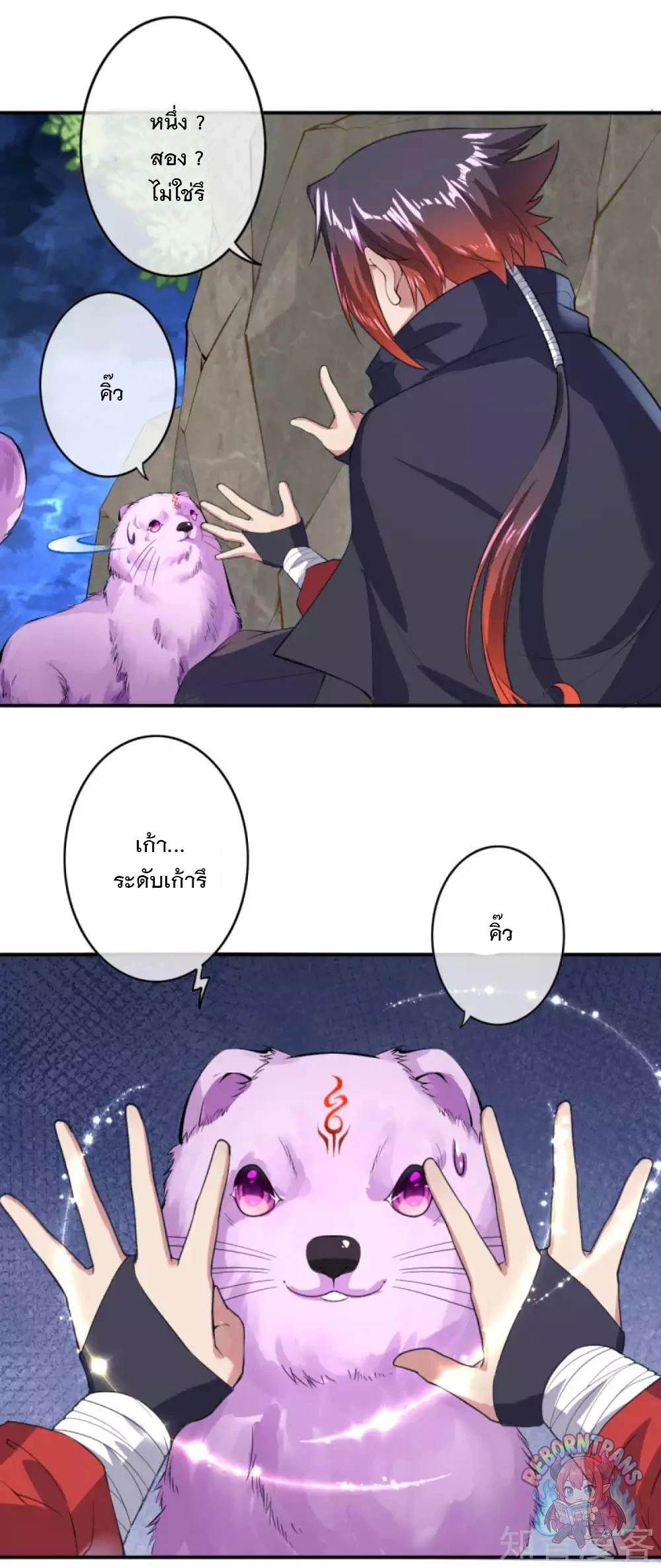หน้า 11