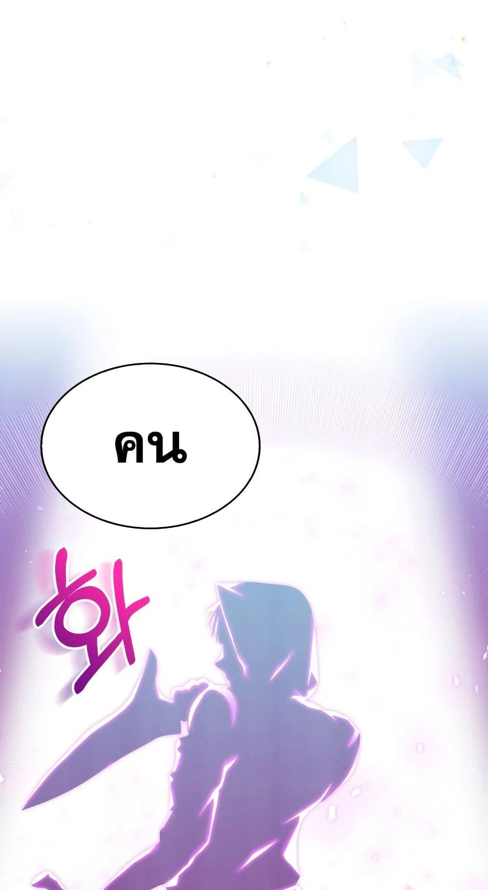 หน้า 113